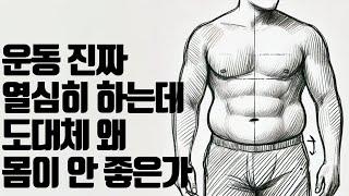 나는 헬창이다. 근데 몸이 별로 안 좋다... (24년도 논문 + 5개 비교분석)