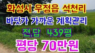 화성시 우정읍 석천리 계획관리 439평