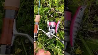 Обзор на мой новый комплект для ловли форели #gofishing #форель #рыбалка #trout #fishing