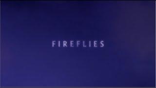 Nick Cave and The Bad Seeds - Fireflies (Official Lyric Video)