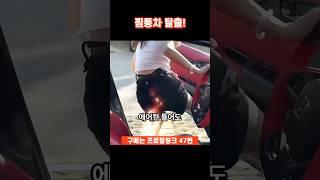 [47]차량용 햇빛가리개는 이걸로 종결 #쿠팡추천템 #쿠팡템리뷰