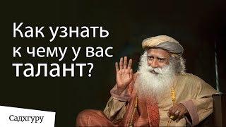 Как узнать к чему у вас талант?