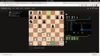 lichess | Insights + Atomic