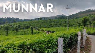 Munnar | Kerala | Solo Trip | Places to Visit in India