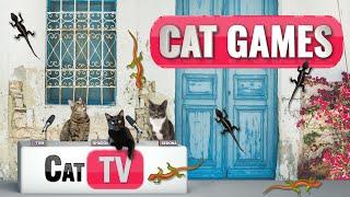 Cat Games |  Uncle Leonard and Larry the Lizard’s Greek Odyssey! ️ | Lizard Videos for Cats