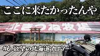 【北海道ソロツーリング】#6 北きつねさんを堪能しに来た！