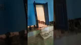 7419250048 #houseliftingservice  #building