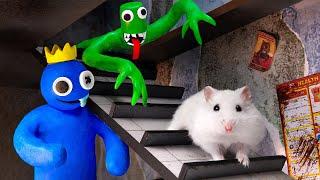 Rainbow Friends: Hamster Adventures In Monster Maze For Pets   In Real Life