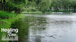 Gentle Rain on a Calm Lake. Fast Sleep and Reax with Soft Whispering Rain Sounds. Defeat Insomnia