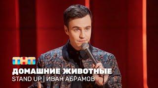 Stand Up: Иван Абрамов - домашние животные @standup_tnt