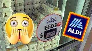 Eggs are expensive AGAIN?!   Weekly ALDI Grocery Haul September 2024