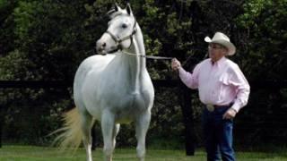 Short Film: Quarter Horse Racing Relic Hunter