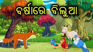 Barsha re Bilua | Birds Cartoon || Odia Birds || Tiki Chadhei Gapo || Zoo Joo TV || Cartoon