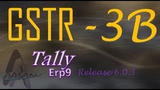 Prepare GSTR 3b in tally release 6.0.3