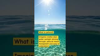 What is pellucid?