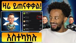 ዋጋው ስንት ነው? | X Empire አሁን አስተካክሉ! | MAJOR & MEMFI UPDATE