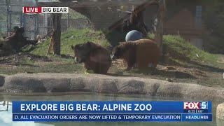 Big Bear Alpine Zoo Offers Close-Up Looks At Animals