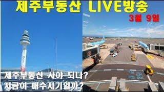 [LIVE]제주부동산 실시간방송. 제주도 부동산투자 및 매수시기는. 지금 사야될까? 금리인상은... #부동산투자 #제주땅값 #제주토지매매 #제주2공항 #부동산상담