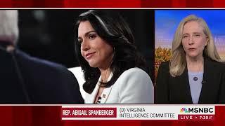 MSNBC: Spanberger on Gabbard Nomination as DNI, "Not in the Best Interest of Our National Security"