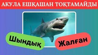 МЫНАНЫ ТАБА АЛАСЫҢ БА? ШЫНДЫҚ НЕМЕСЕ ЖАЛҒАН ҚАЙСЫСЫН ТАҢДАЙСЫҢ?⁉️  БІЛІМ QUIZ 2024🟢