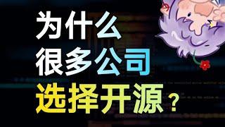 自己辛苦开发的软件和AI，为什么要开源给大家免费用？#玄离 #玄离199 #教育 #科普