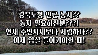 경북도청 쪼오오끔 떨어진 위치에 농지 필요하신분??? 2023타경1694(2) 경북도청농지경매