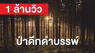 สารคดี สำรวจโลก ตอน ป่าดึกดำบรรพ์ - ผจญภัยในป่าโบราณนิวกินี เผชิญหน้าชนเผ่าลึกลับ