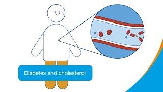 Diabetes and cholesterol | How it works | Diabetes UK