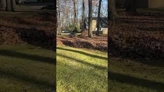 Massive fall clean up job today hustle mode