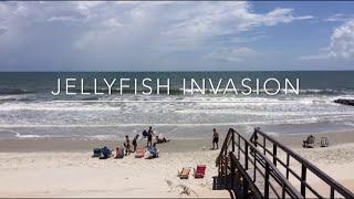 Jellyfish Invasion