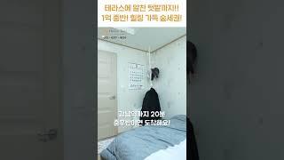 1억 중반! 사계절 품은 숲세권~! [H1512][월세보다낫다] #하우스투어 h1512 #shorts