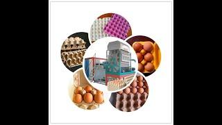 pulp molding machine for egg tray，rotary egg tray machine，small egg pulp tray molder