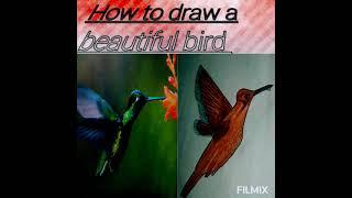 How to draw a lovely bird ll flying pose ll easy colourful art