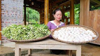 Harvesting Duck Eggs and Chives to Sell at Market - Pet Care, Cooking | Trieu Mai Huong.