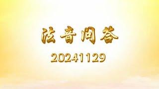 法音问答 20241129｜大乘普光 心灵法门