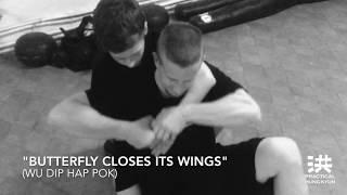"Butterfly Closes It's  Wings" | Practical Hung Kyun