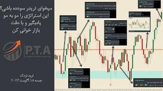 استراتژی معاملاتی از صفر تا صد | میخوای حرفه ای ترید کنی این ویدیو را چند بار تماشا کن