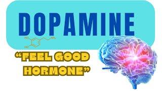 Dopamine: The Chemical That Shapes Your Motivation, Joy and Much More!