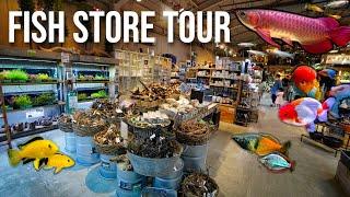 HUGE FISH STORE TOUR in TOKYO! Yoshida Fish Farm