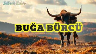 BUĞA BÜRCÜ. Həftəlik bürc proqnozu (9-15 DEKABR) #boğaburcu