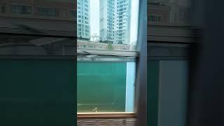 #10835 #법률상담 #법학박사김철중 #법무사전문위원김철중 #동국대겸임교수김철중 010.5027.2030 2025.6.7 #bts #법 #짝사랑