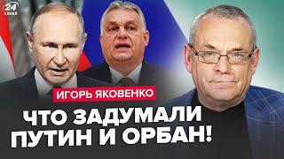 ЯКОВЕНКО: Тайное ПОСЛАНИЕ Орбана! Путин В ПАНИКЕ. Соловьев НАПАЛ на Z-военкоров. Ходаренок ИСТЕРИТ