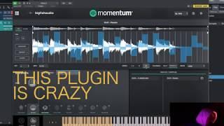 Momentum Big Fish Audio Does it Give SP404 Vibes ? | Playing with This Free Plugin is fun