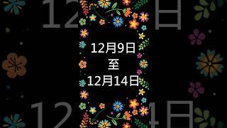 #539聯盟 ｜ 双獨支 _ 12月9日 - 12月14日