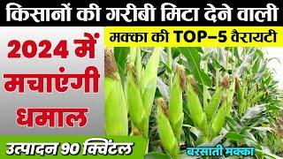 Barsati Makka Ki Top - 5 variety | मक्का की टॉप 5 हाईब्रिड वैरायटी | Makka ki kheti, kharif makka