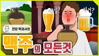 맥주의 역사부터 라거와 에일의 차이, 효능까지! 맥주 시리즈 한번에 보기 @세모지​