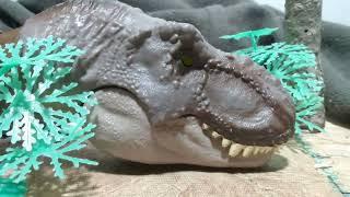 Just Some Dino Stop Motion Practice...