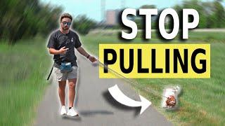 Stopping A Puppy From Pulling & Chewing EVERYTHING