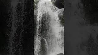 Paglajhora | Kurseong | Fountain | Darjeeling