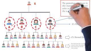 How Uni-level Compensation Plan Works